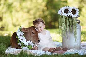 This Adorable Photo Shoot Perfectly Captures What It S Like Growing Up On A Farm Farm Baby Animal Photoshoot Baby Cowboy