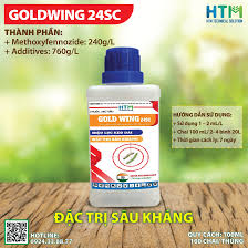 Gold Wing 24SC