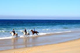 We did not find results for: Welcome To Hersonissos Horse Riding Tours