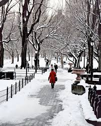 Pin By Leah Carroll On Travel In 2021 Nyc Christmas New York Christmas Winter Photograph