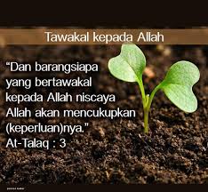 Image result for tawakkal