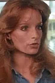 Moonshine County Express