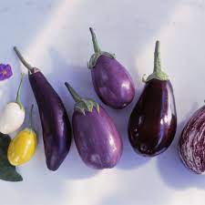 The skin is so thin that peeling is unnecessary. Different Types Of Eggplant