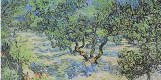 Vincent Van Gogh S Olive Trees Painting Has A Grasshopper Stuck Inside Of It Olive Tree Painting Tree Painting Vincent Van Gogh