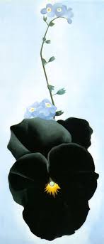 Georgia O Keeffe Flower Paintings Paintings For Web Search Georgia Okeefe Georgia O Keefe Art Georgia O Keeffe