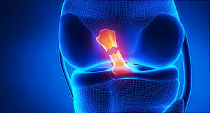 Low leg/foot bones, ligaments, and movements. Reasons For Pain Behind In Back Of The Knee