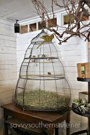 Sweet Birdcage Kus Kafesi Kus Evi Kafes