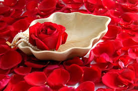 Sweet and lovely, innocence, pure love, faithfulness. The Meaning Of Some Flowers In Italy Life In Italy