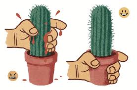 Cope Dont Seethe - Dan Savage