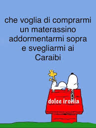 Salvato Da Linda Poli Citazioni Divertenti Citazioni Sarcastiche Citazioni Snoopy