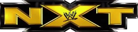 900 x 295 png 16 кб. Download Wwe Nxt Logo Png Www Wwe Nxt Logo 2014 Png Image With No Background Pngkey Com