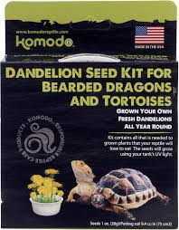 Tortoises can make fantastic pets, particularly for older children and adults. Komodo Dandelion Bearded Dragon Tortoise Seed Kit Chewy Com
