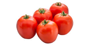 We did not find results for: Tomato Kisankraft