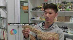 Keeping your furry friend healthy will always be a top priority, but for many pet owners a trip to the vet can be difficult to finance. Pet Care Vet Ampera Home Facebook