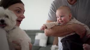 249 Senior Twins Stock Videos, Footage, & 4K Video Clips