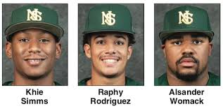 NSU wins MEAC baseball championship with help from area players; next stop  NCAA Regional