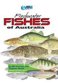 Freshwater Fishes Of Australia Afn Fishing Outdoors