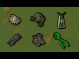 Pet drops are one of the most fun goals you can go for in osrs. Tithe Farm Guide Osrs Youtube