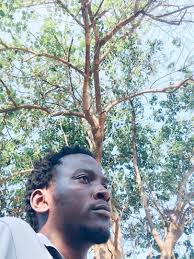 This WWII Airplane Was Turned Into a Hotel Room 😲