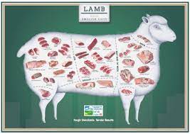 In this article, we also have variety of handy coloring page sample about sheep meat cut charts with a lot of variations for your idea. Pin On Where S The Meat