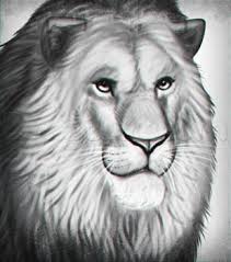 .zeichnen für anfänger, leicht / drawing lion time lapse lion king simba. Lowe Zeichnen Schritt Fur Schritt Tutorial Dekoking Diy