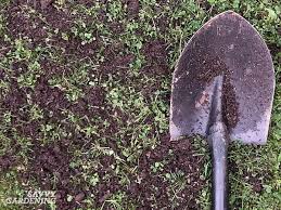 Grass to be planted on fill will do better if organic matter is worked into the soil before the seed is planted. Top Dressing Lawn How To Have Thicker Healthier Grass