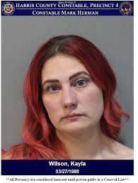 Mark Herman, Harris County Constable Precinct 4