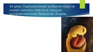 когда начинает биться сердце у ребенка в утробе матери Embrionalnoe Razvitie Cheloveka Online Presentation