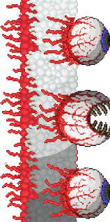 Check spelling or type a new query. Wall Of Eye Of Cthulhu Terraria