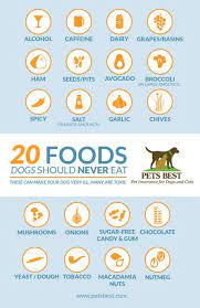 20 Foods Dogs Should Never Eat Food Dogs Shouldnt Eat Cool Pets Pet Health