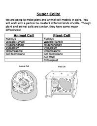 We did not find results for: Plant And Animal Cell Project With Rubric By Meghan Nolan Tpt