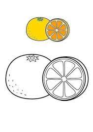 Pin On Fruits