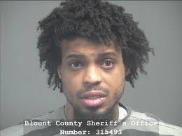 WEBB, BRANDON DEON Charges: DISORDERLY CONDUCT This information and more is  available https://apps.myocv.com/share/a95737804