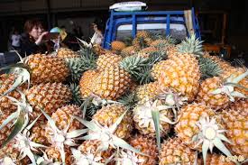 中央辦公廳 新聞、公告、聲明 官方證明文件 組織架構 台灣高砂族事務委員會 州籍變更. N9xgcckyywhulm