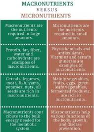 15 differences between macro nutrients and micro nutrients