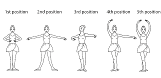 Check spelling or type a new query. Ballet Foundations Positions Of The Arms In Ballet Ballet For Women