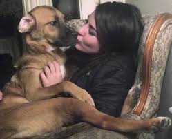 Maybe you would like to learn more about one of these? Court Confirms Man S Custody Of Dog Denies Ex Girlfriend