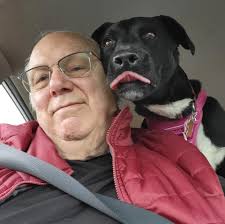 Invasive species causing property issues