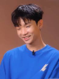 Up Ảnh Mèo Trong Cast