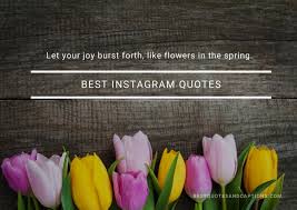 Day dreaming about weddings that turn my garage into a floral cave . Best Instagram Quotes 500 Of The Ultimate Quotes For Instagram