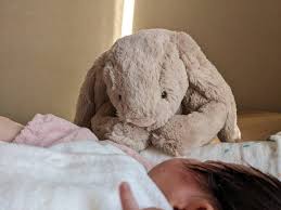 ぬいぐるみと一緒に寝るのはダメなの？大人にも子どもにどんな影響があるのか解説します | スモールハピネスの小さな幸せみ～つけた☆