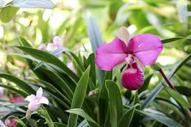 Maybe you would like to learn more about one of these? In Lieu Of Flowers Northside Hospital Foundation The Northside Hospital Foundation