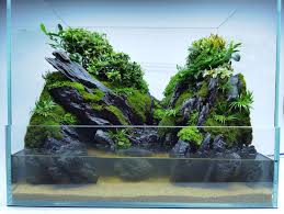 Seiryu Paludarium Waterfall Resin set – Zen Aqua Solutions