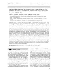 Image result for Crinum subcernuum