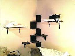 Diy Cat Shelves Cat Wall Shelves Diy Cat Shelves Cat Shelves