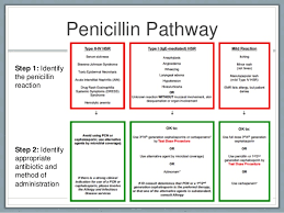 3 The Endo Blog Antibiotic Cross Sensitivity Chart For