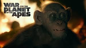 No one knows what is behind it all, until a huge man eating bull shark turns up. War For The Planet Of The Apes 20th Century Studios