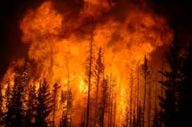 We all know how devastating this wildfire is to the people of alberta and to the people of the country. Mustering Rfid Technology Ab R