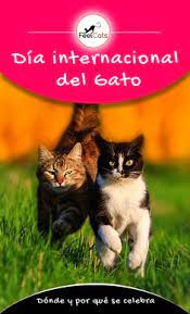 Datos curiosos, memes y su importancia en el día a día. Pin En Dia Internacional Del Gato