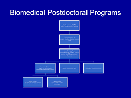 appendix ii biomedical postdoctoral programs